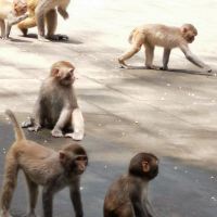 評論圖片 4