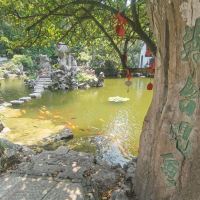 評論圖片 6