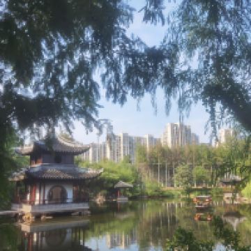 評論圖片 4