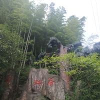 評論圖片 3