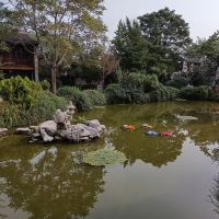 評論圖片 8