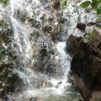 評論圖片 5