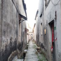 評論圖片 9