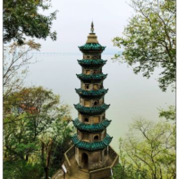 評論圖片 4