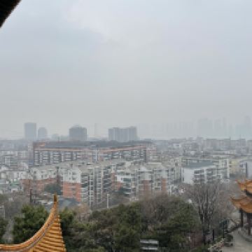 評論圖片 9