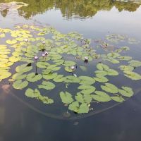 評論圖片 1