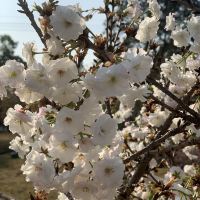 評論圖片 9