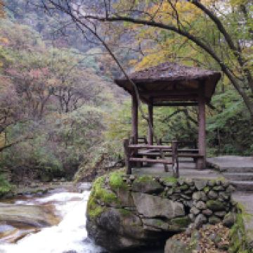 評論圖片 8