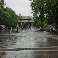 評論圖片 1