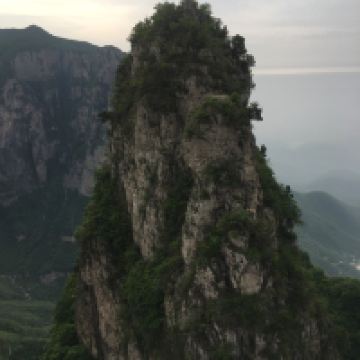 評論圖片 4