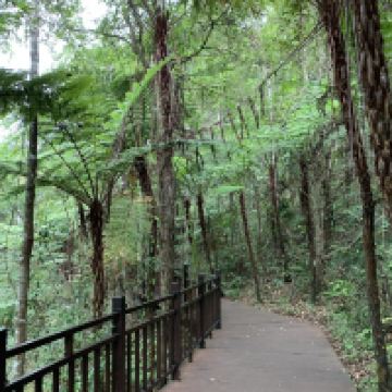 評論圖片 8