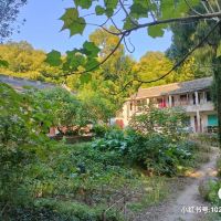 評論圖片 9