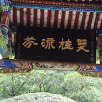 評論圖片 1