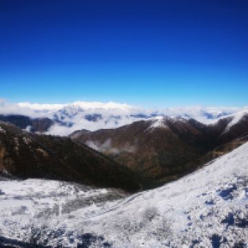 評論圖片 3