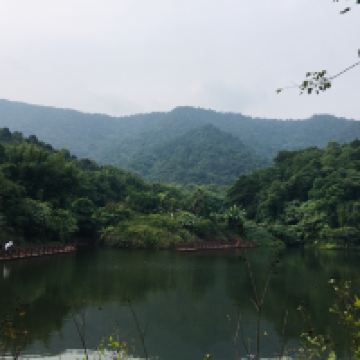 評論圖片 4