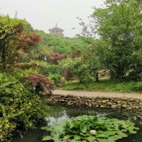 評論圖片 8