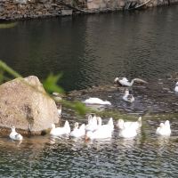 評論圖片 4