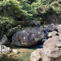 評論圖片 1