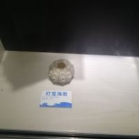 評論圖片 5