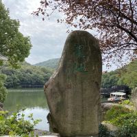 評論圖片 6