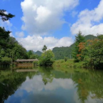評論圖片 6