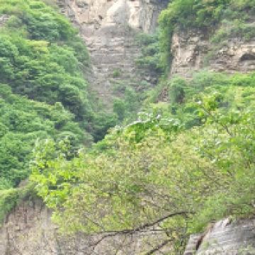 評論圖片 1