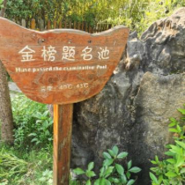 評論圖片 6