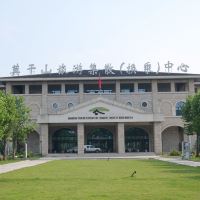 評論圖片 1