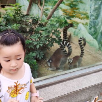 評論圖片 2