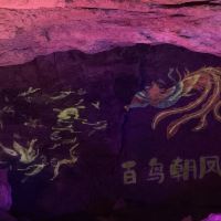 評論圖片 4