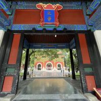 評論圖片 6