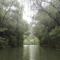 評論圖片 7