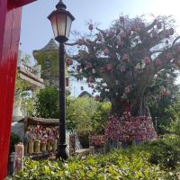 評論圖片 2