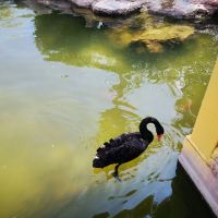 評論圖片 9