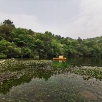 評論圖片 4