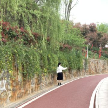 評論圖片 3