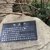 評論圖片 2