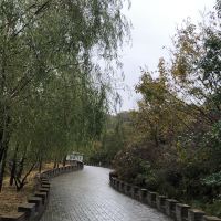評論圖片 5