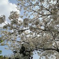 評論圖片 9