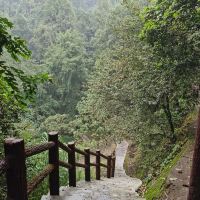 評論圖片 9