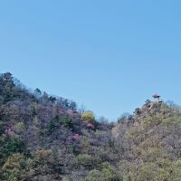 評論圖片 8