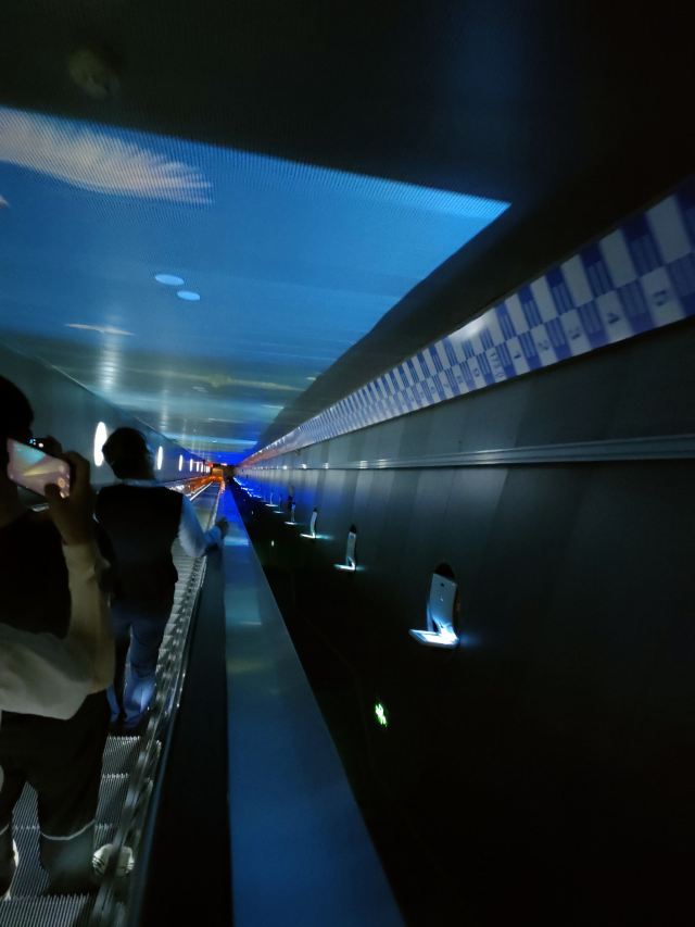 白鶴梁水下博物館