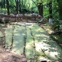 評論圖片 3