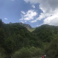 評論圖片 5