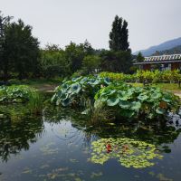 評論圖片 6