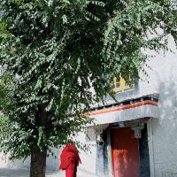 評論圖片 4