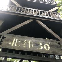 評論圖片 7