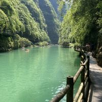 評論圖片 1