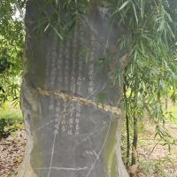 評論圖片 2