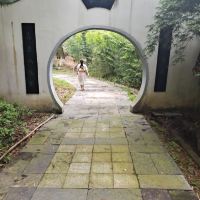 評論圖片 1